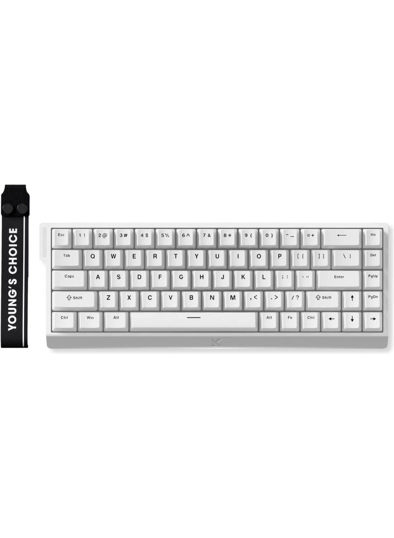 MCHOSE Ace 68 65% Compact Hall Effect Magnetic Switch Gaming Keyboard – Ice Rhino Switch, Hot-Swappable, RGB Backlit, 8K Ultra-Fast Polling, Adjustable Actuation, Wired USB-C, Mac & Windows Compatible, White | MC-Ace68-18 - Image 2